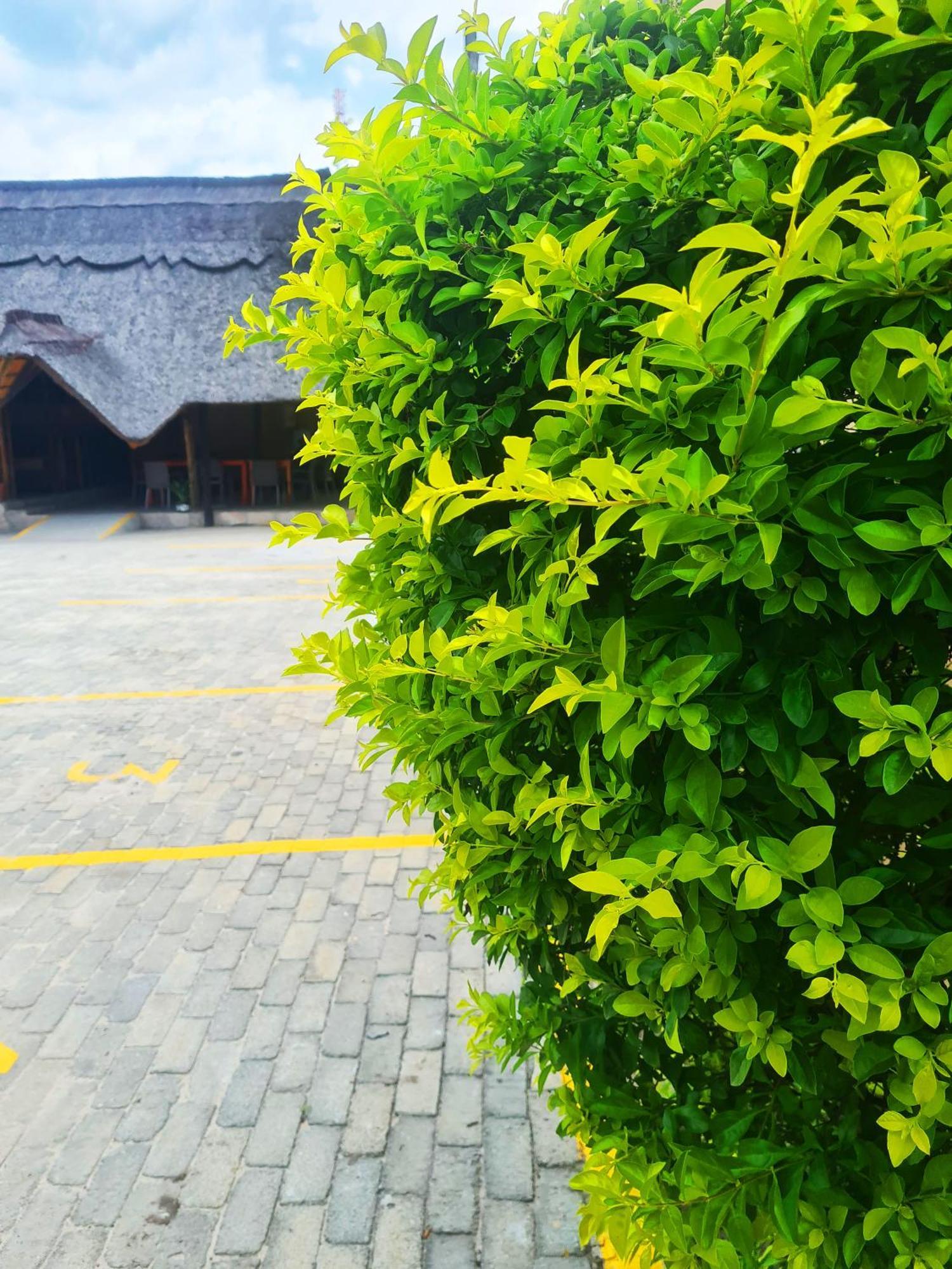 Maya Bnb Nata ภายนอก รูปภาพ